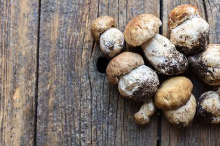 Restaurant Alliance - Fraicheur des produits - Restaurant 2 étoiles Michelin Paris