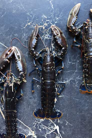 Restaurant Alliance étoilé paris 5 - Restaurant 2 étoiles Michelin Paris