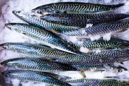 Restaurant Alliance étoilé paris 5 - Restaurant 2 étoiles Michelin Paris